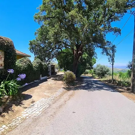 Haus In Einem Bauernhof Zwischen Weinbergen 2 Holiday home Ribafria